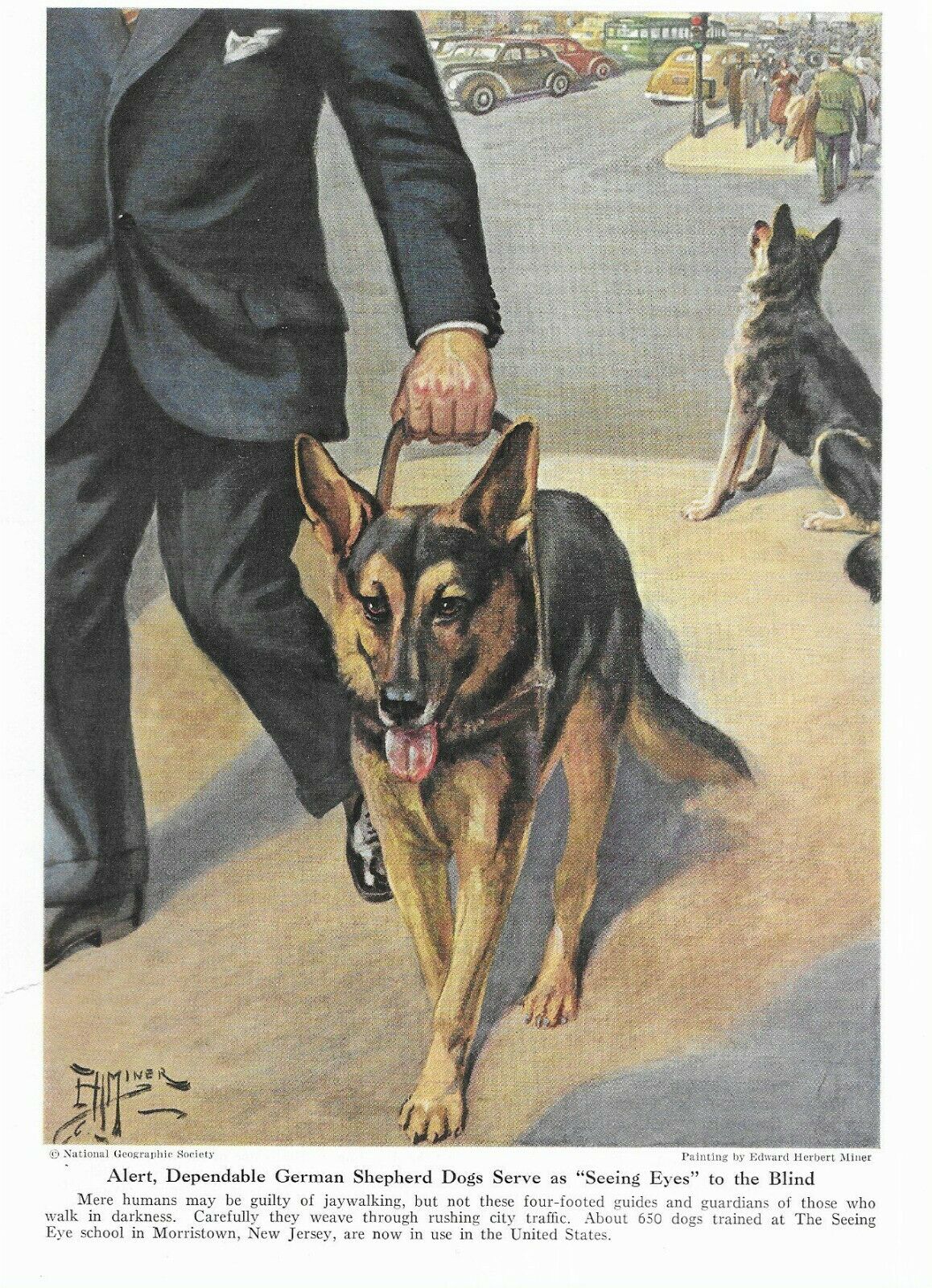 German Shepherd - Vintage Color Dog Art Print - Matted